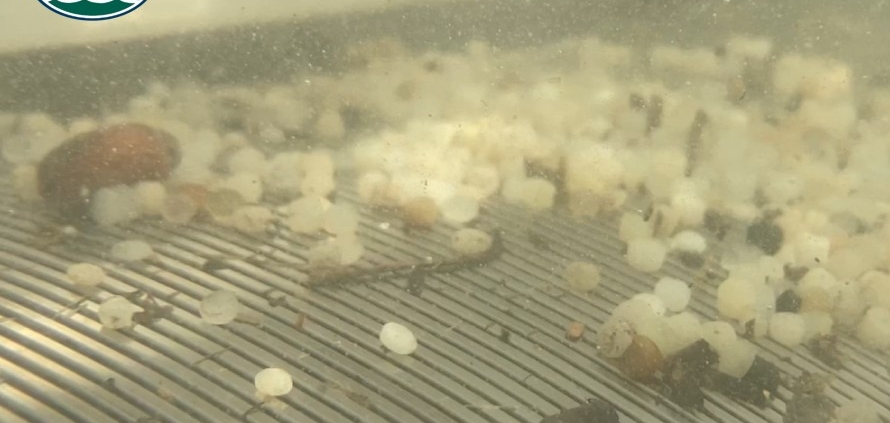 Plastic pellets retained against an ISI wedge-wire screen underwater.